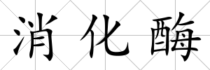 消化酶
