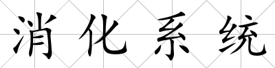 消化系統