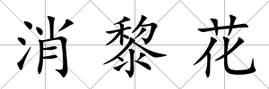 消黎花