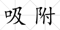 吸附