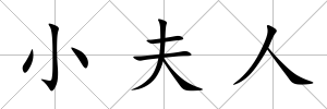 小夫人
