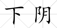 下陰