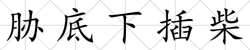 脅底下插柴