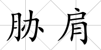 脅肩