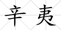 辛夷