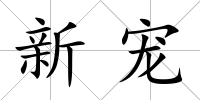 新寵