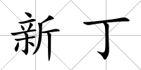 新丁