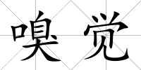 嗅覺