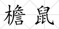 檐鼠