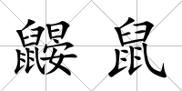 鼴鼠