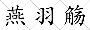 燕羽觴