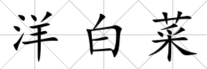 洋白菜