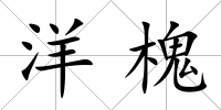 洋槐