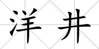 洋井