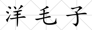 洋毛子