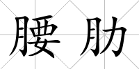 腰肋