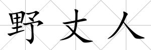 野丈人