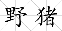 野豬