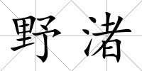 野渚