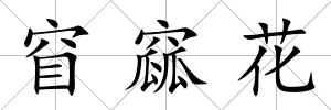 窅窳花