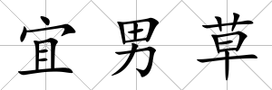 宜男草