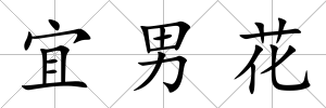 宜男花