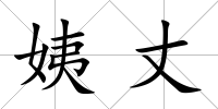 姨丈