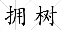 擁樹