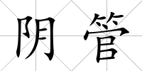 陰管