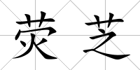 熒芝