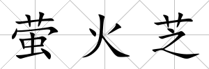 螢火芝