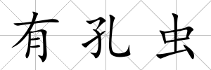 有孔蟲