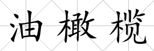 油橄欖