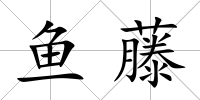 魚(yú)藤