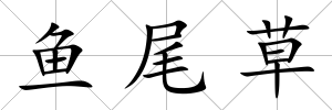 魚尾草