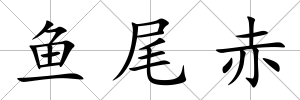 魚尾赤