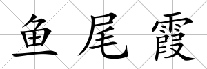 魚尾霞