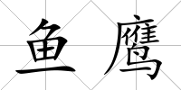 魚鷹