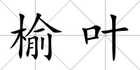 榆葉
