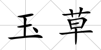 玉草