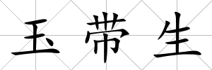 玉帶生