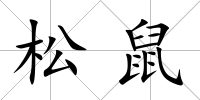 松鼠