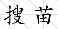 搜苗