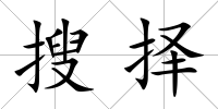 搜擇