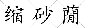 縮砂蕑