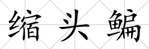 縮頭鳊