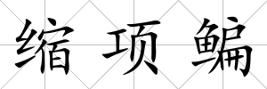 縮項鳊