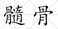 髓骨