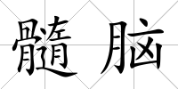 髓腦