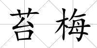 苔梅